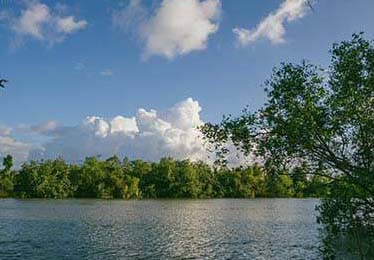 杯赛赛场 ｜ 湖人对阵湖人，气氛突然变了，字母哥身上出现变化，教练赛后说法耐人寻味，一些细节在复盘时才显现，不少人顺手点开了kaiyun官网页面